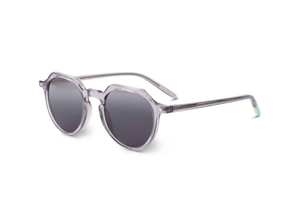 Chobe – Transparent Gray - SUNGLASSES-1